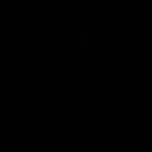 Meet your Posher, Edson